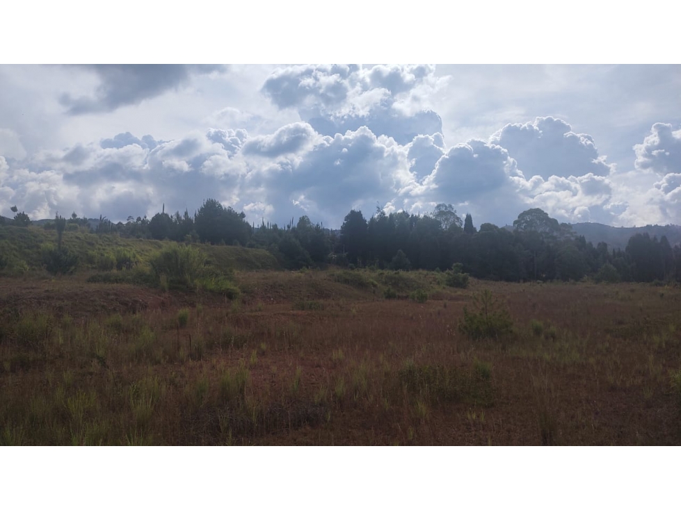 Excelente lote urbanizado en importante Parque Industrial en Guarne