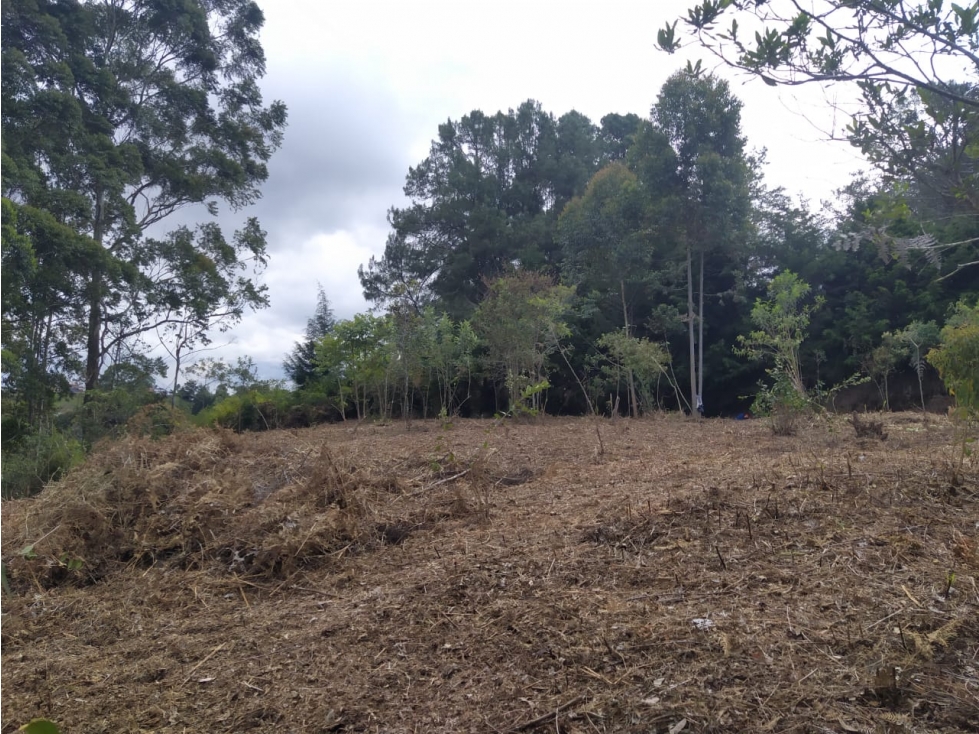 LOTE EN VENTA RIONEGRO.