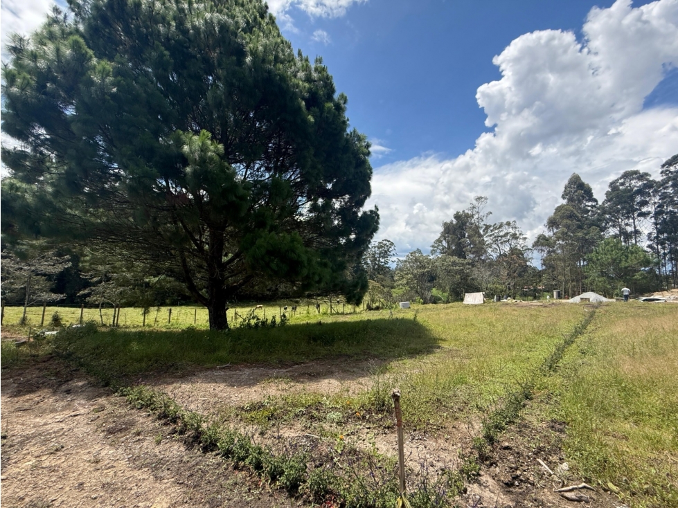 Lote en venta en la Ceja