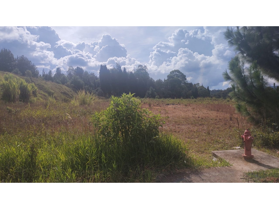 Excelente lote urbanizado en importante Parque Industrial en Guarne — foto 3