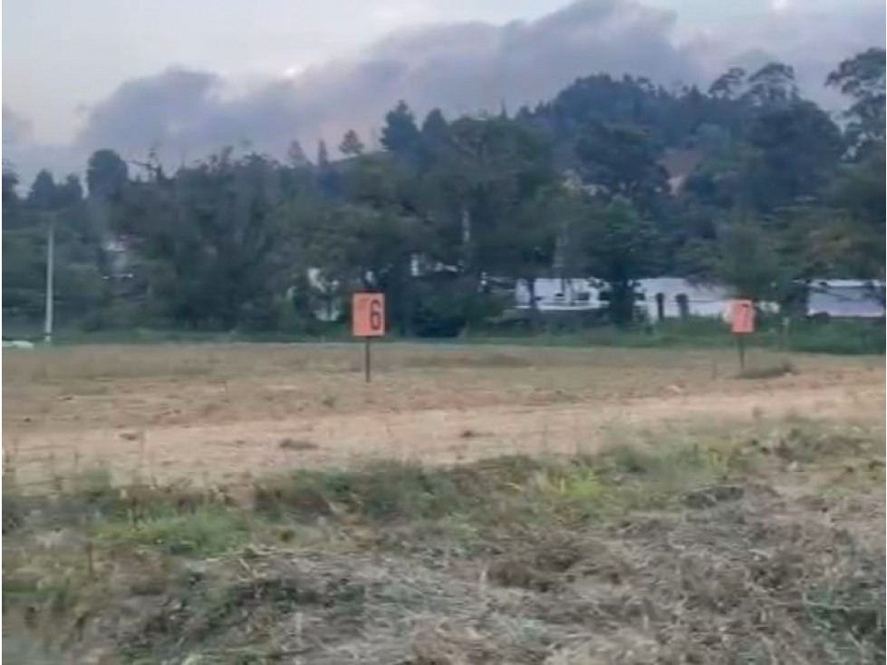 LOTES PARA BODEGAS EN GUARNE — foto 4