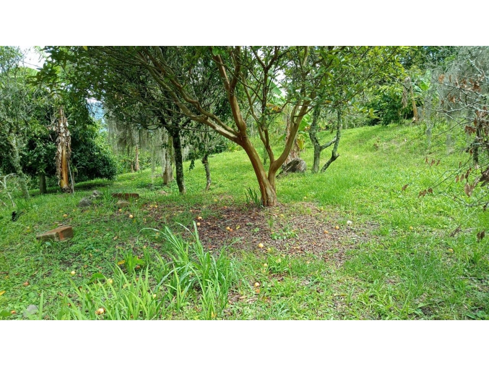 HERMOSA FINCA EN VENTA COPACABANA, VEREDA SABANETA — foto 2