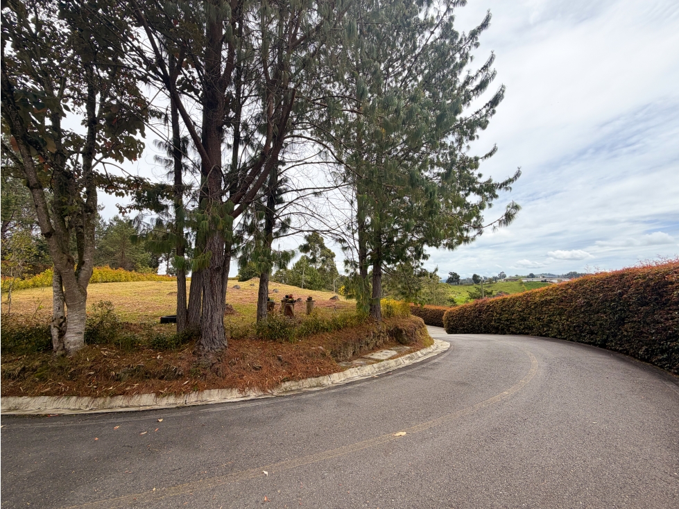 HERMOSA CASA CAMPESTRE DE UN NIVEL EN SAN PEDRO MILAGROS — foto 6