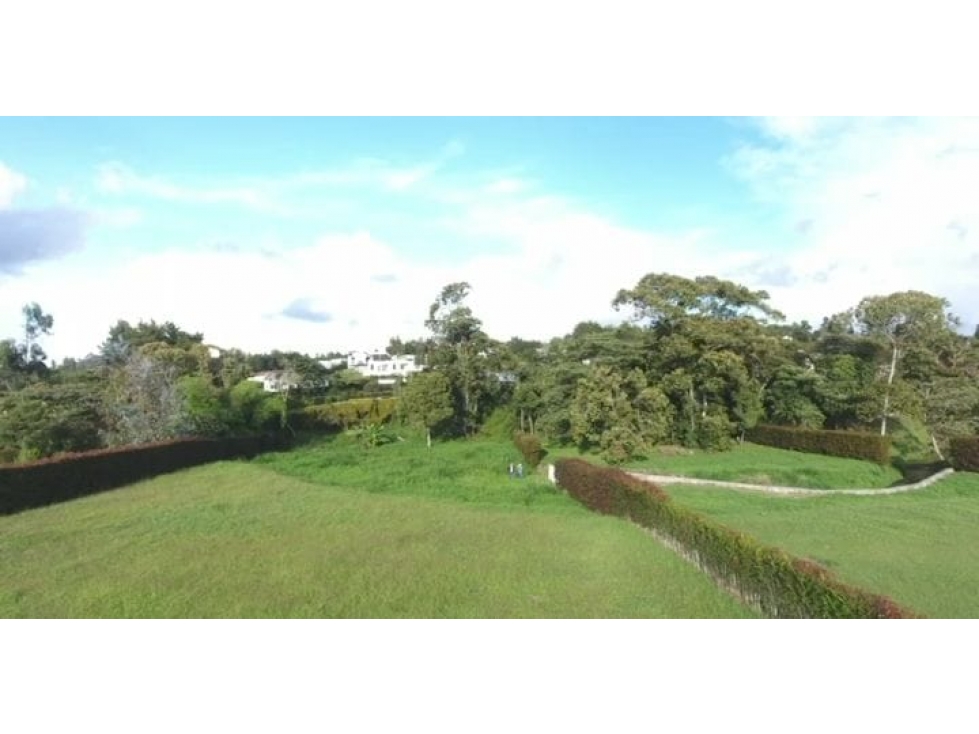 LOTE EN VENTA EN CARMEN DE VIBORAL
