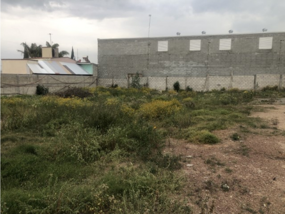 Oportunidad de inversión, terreno de 2046m2 Santa Matilde, Pachuca. - 6