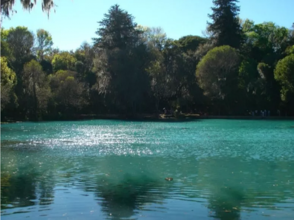 Vendo Terreno cerca del Bosque de las Truchas Huasca Hidalgo — foto 3