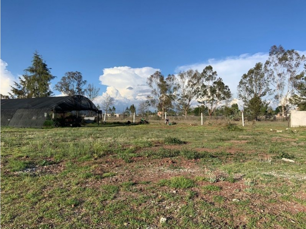 Terreno en Venta 430 m, Cerca de Centro de Huasca, Hidalgo