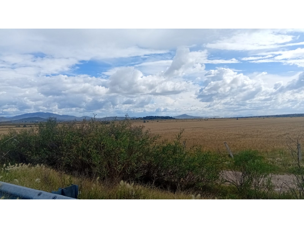 EXCELENTE OPORTUNIDAD TERRENO A PIE DE CARRETERA 8HA - 1