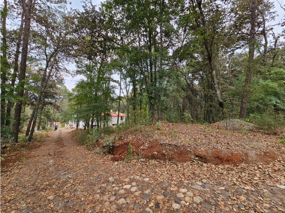 Terreno Huesca de Ocampo en la zona más exclusiva — foto 2