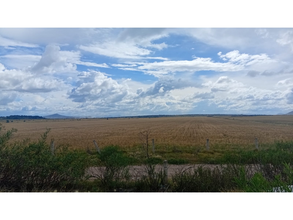 EXCELENTE OPORTUNIDAD TERRENO A PIE DE CARRETERA 8HA - 2