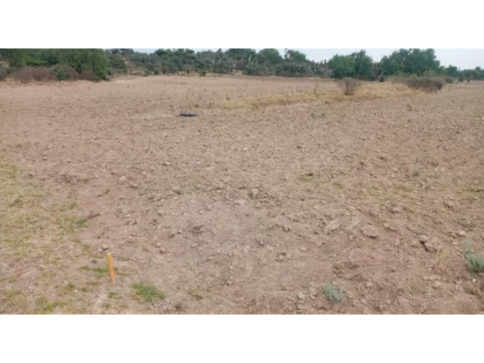 Terreno en Venta, entrando a La Trinidad Carretera Sahagún, Hidalgo — foto 4