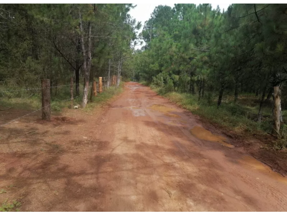 Terreno en Venta en El Fresno, Huasca de Ocampo, Hidalgo — foto 4