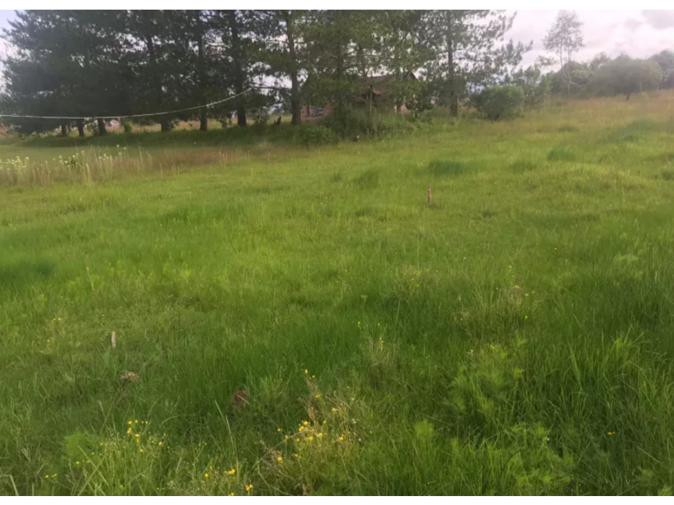 Vendo Terreno cerca del Bosque de las Truchas Huasca Hidalgo — foto 2
