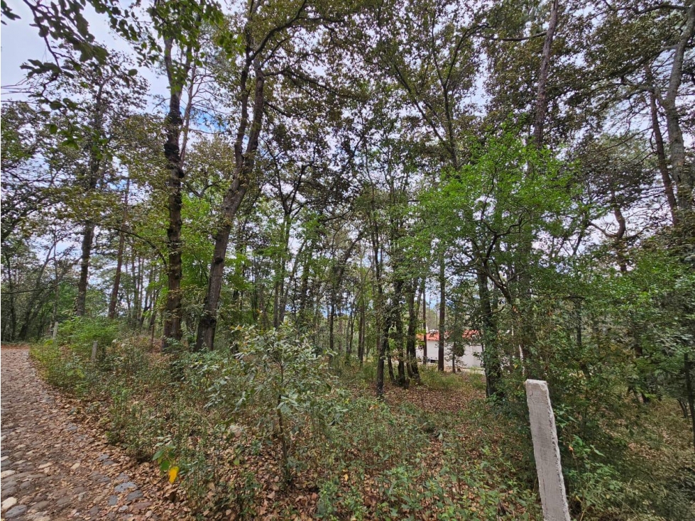 Terreno Huesca de Ocampo en la zona más exclusiva — foto 3