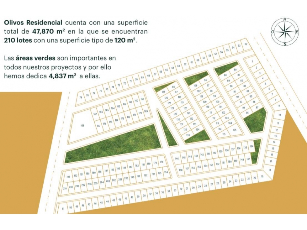 OLIVOS RESIDENCIAL, VENTA DE LOTES RESIDENCIALES — foto 3