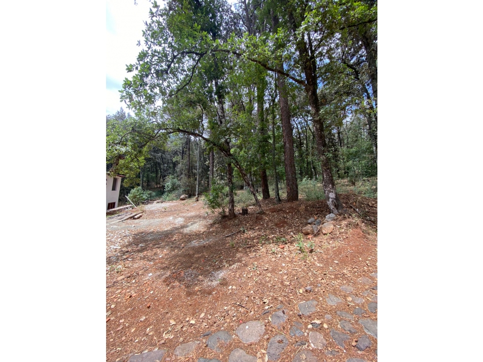 Terreno en huasca 1507 m2 — foto 3