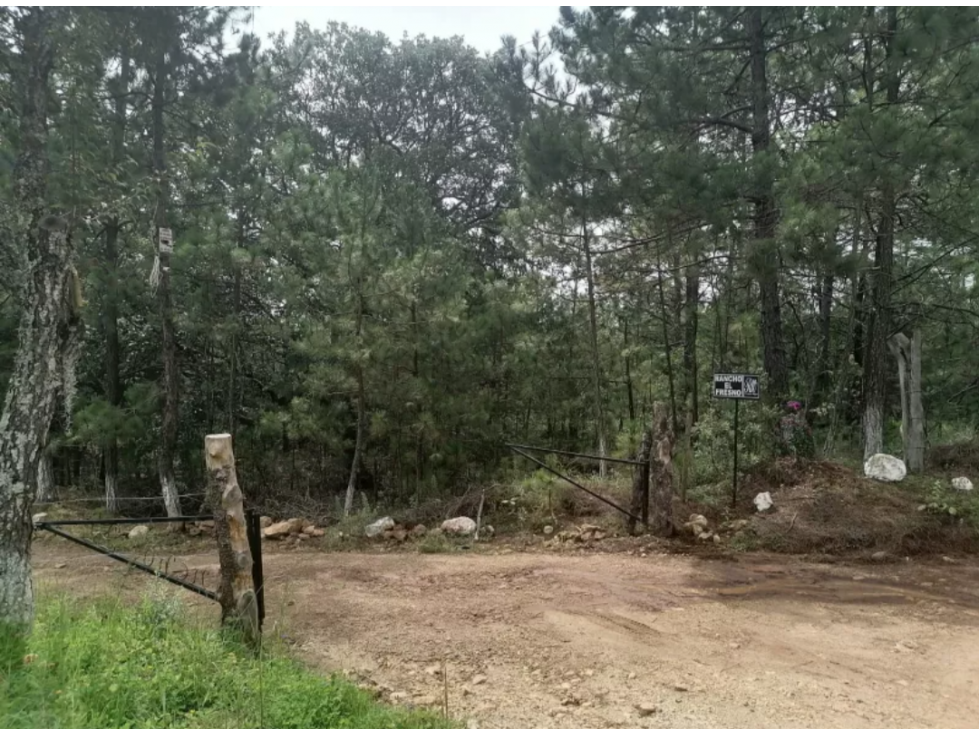 Terreno en Venta en El Fresno, Huasca de Ocampo, Hidalgo — foto 5