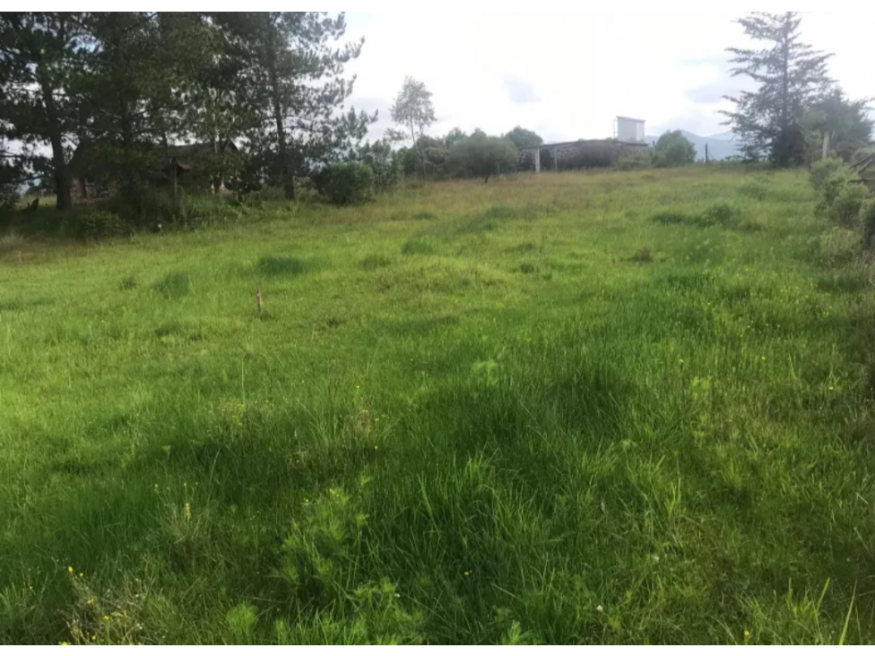 Vendo Terreno cerca del Bosque de las Truchas Huasca Hidalgo — foto 5