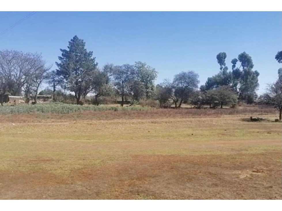Terreno en Remate para Rancho o hacienda en Huasca, Hidalgo - 4