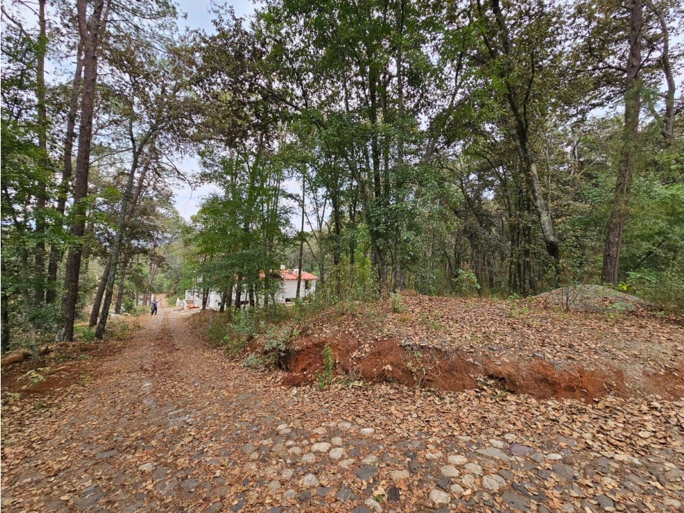 Terreno Huesca de Ocampo en la zona más exclusiva — foto 4