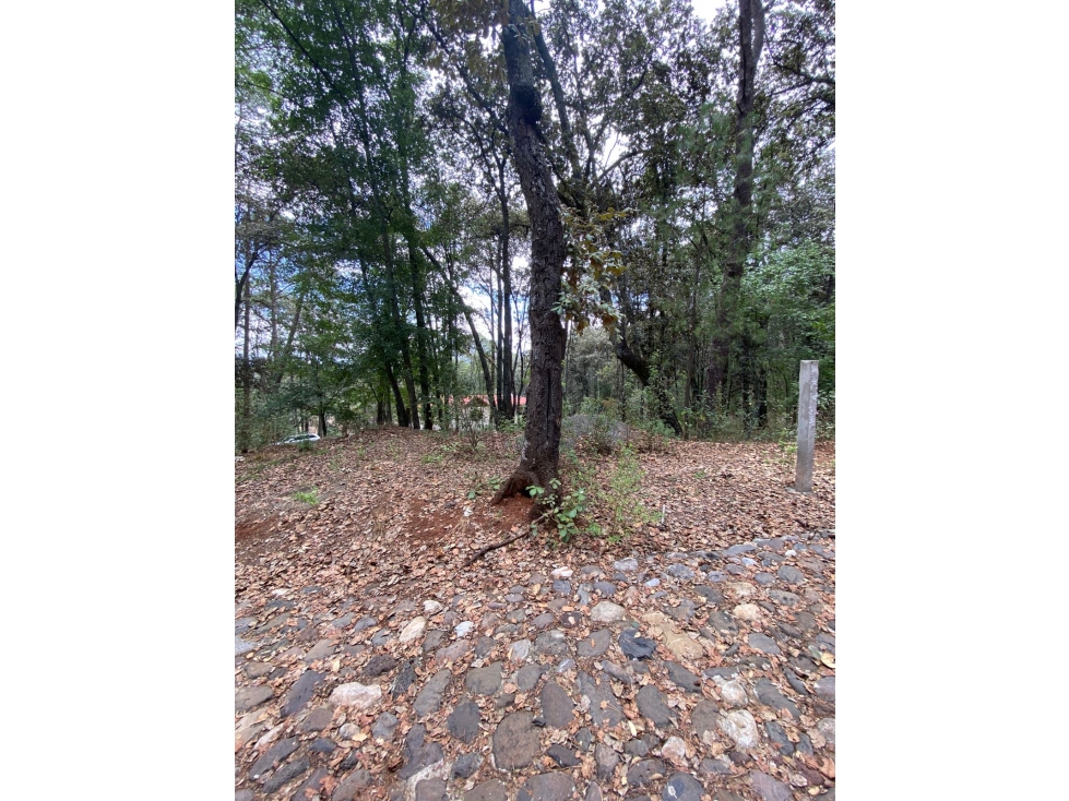 Terreno en huasca 1507 m2 — foto 4