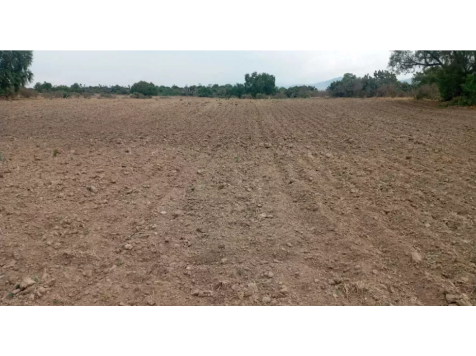 Terreno en Venta, entrando a La Trinidad Carretera Sahagún, Hidalgo — foto 6