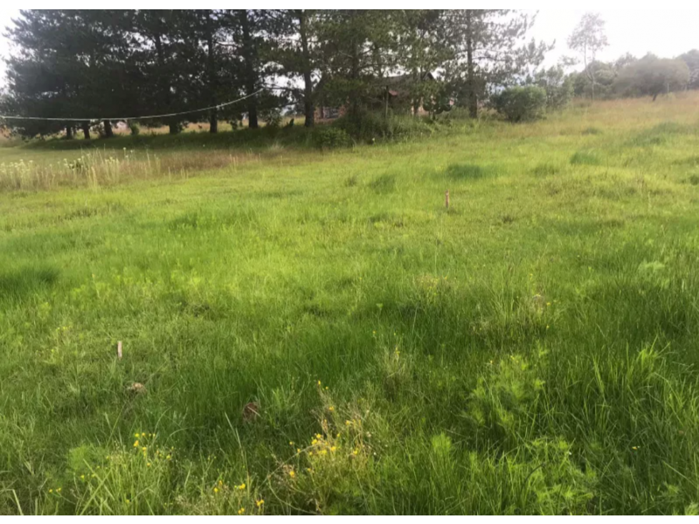Vendo Terreno cerca del Bosque de las Truchas Huasca Hidalgo