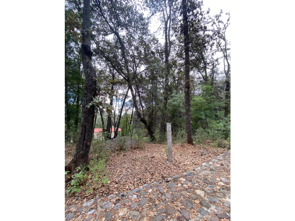 Terreno en huasca 1507 m2 — foto 5