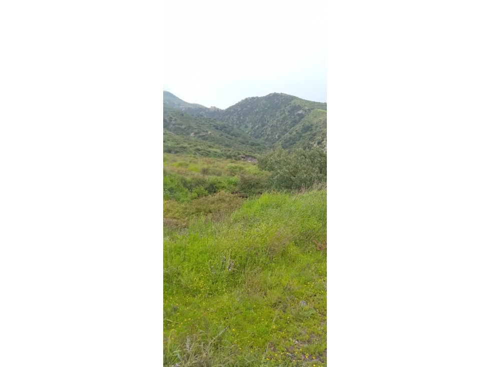TERRENO EN EXCELENTE UBICACION - 5