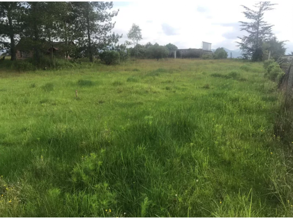 Vendo Terreno cerca del Bosque de las Truchas Huasca Hidalgo — foto 6