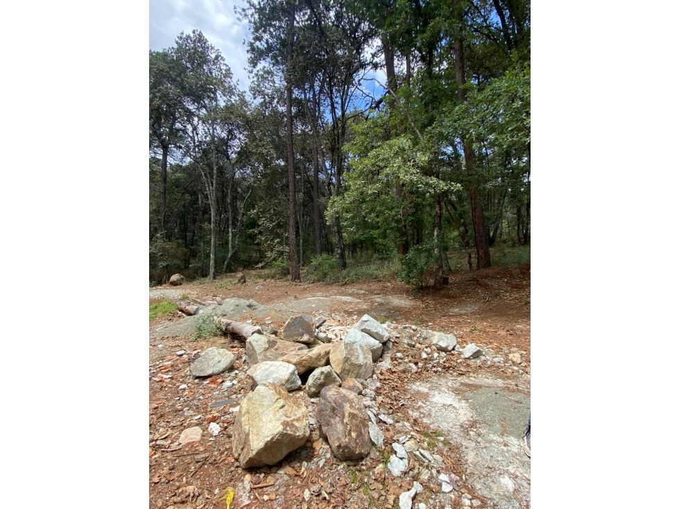 Terreno en huasca 1507 m2 — foto 6