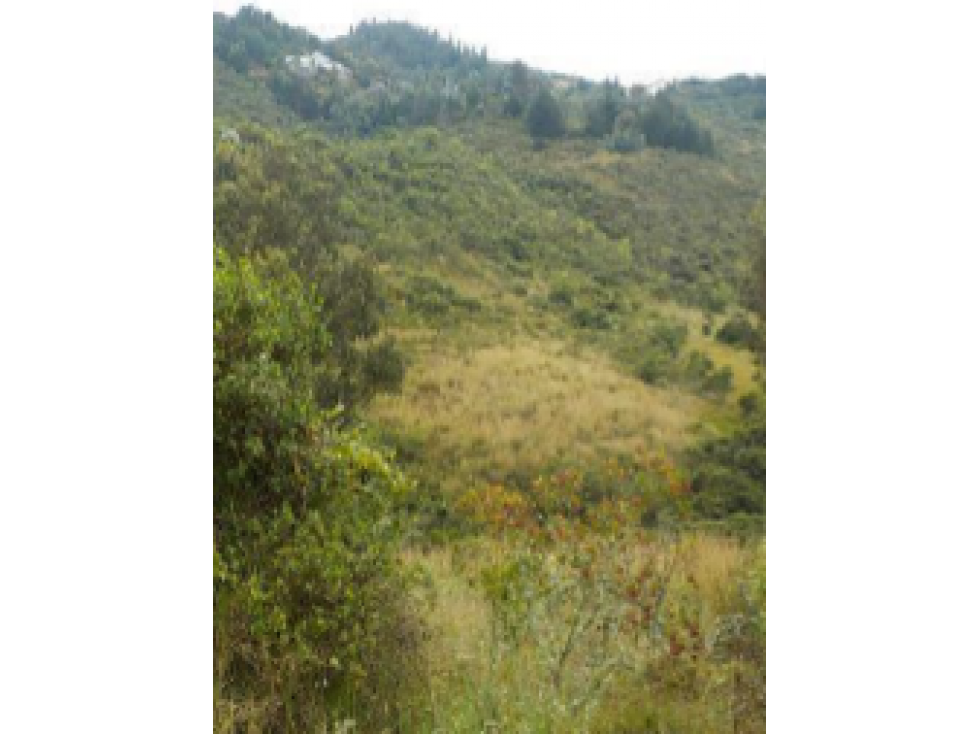 Lote "Cataluña" Etapa 1.4 - Chía, Cundinamarca - 2
