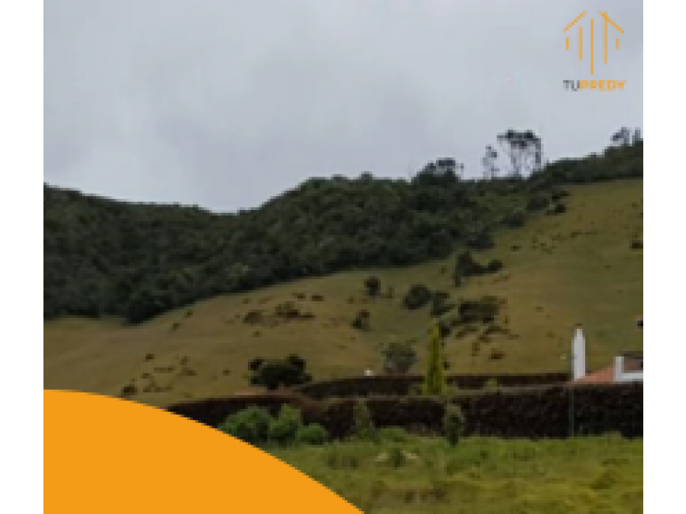 Lote - Agrupación Encenillos de Sindamanoy, Chia - 1