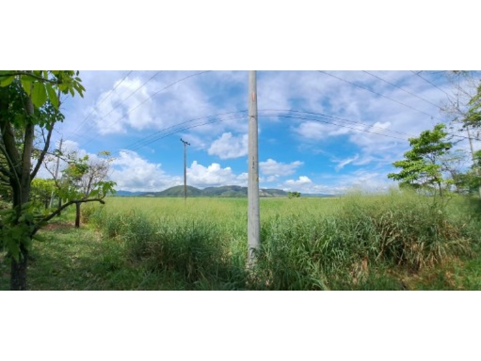 Lote rural,Vereda Camala,Flandes - 1