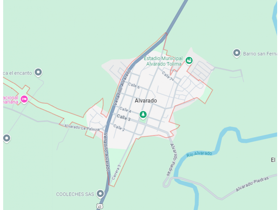 PREDIO GOTERA MANGA LOTE 3 CR 2 01 A - 02 ALVARADO, TOLIMA - 1