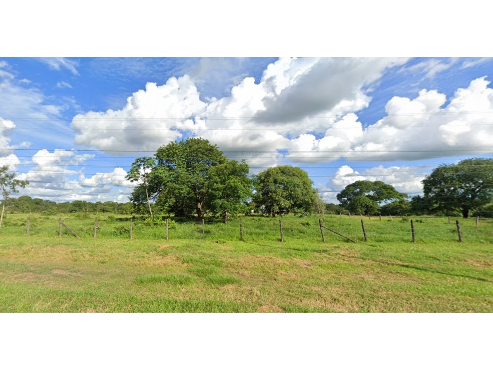 Terreno-Lote - Sobre via marginal de la selva