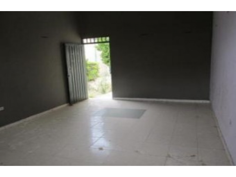 Bodega Trinidad - Pitalito, Huila - 6
