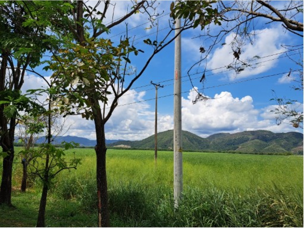 Lote rural,Vereda Camala,Flandes - 2