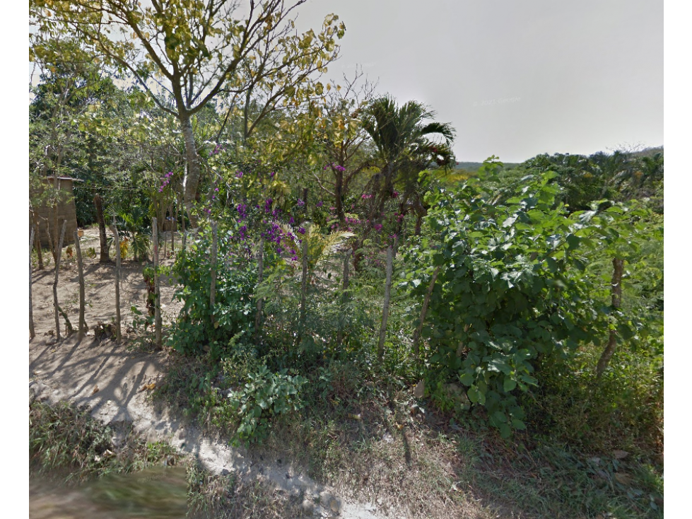 Lote - Terreno, Puerto Caimán - Tubará, Atlántico - 2