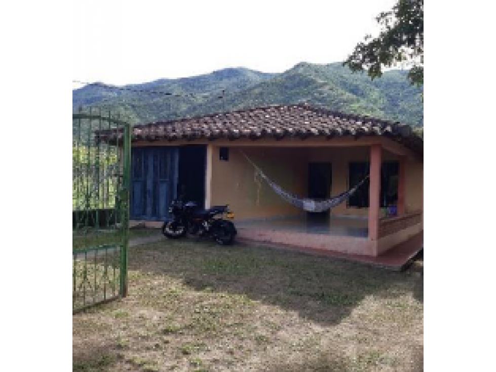 Finca - Lote Bello Horizonte - Vereda La Despensa, La Unión, Valle - 2