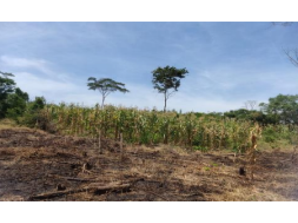 Finca - Terreno en El Carmen de Bolivar, Bolivar - 1