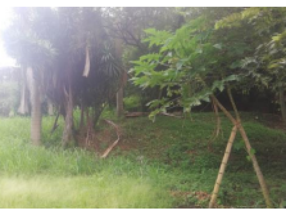 Lote - Terreno en el sector de Aguacatal, Cali — foto 3