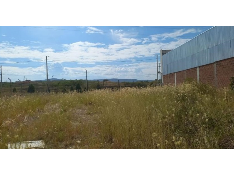 Bodega Nro. 12 - Parque industrial Palermo, Palermo - 3