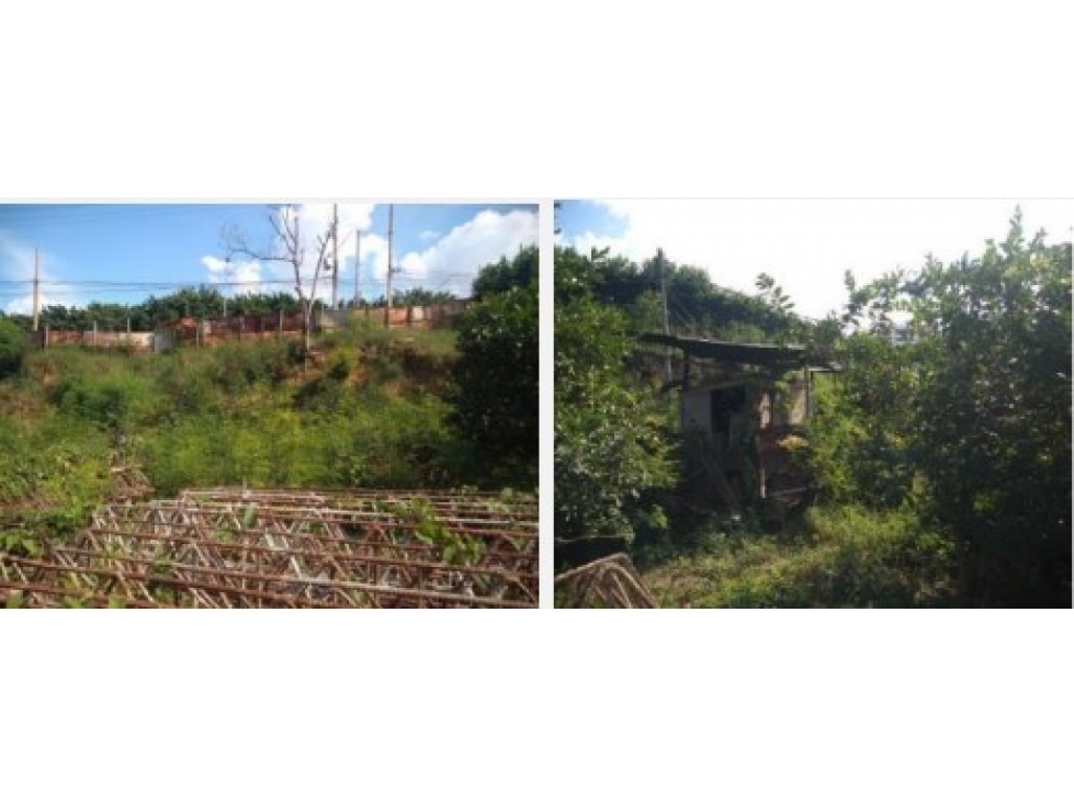 Lote N° 48 The Rivers Country - 3