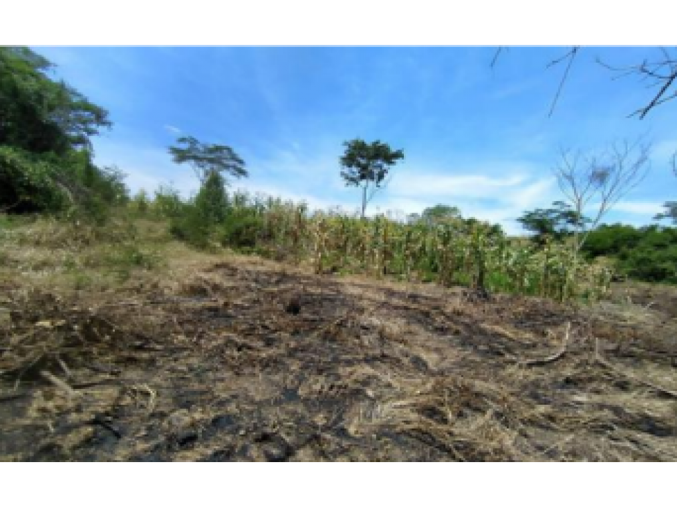 Finca - Terreno en El Carmen de Bolivar, Bolivar - 2