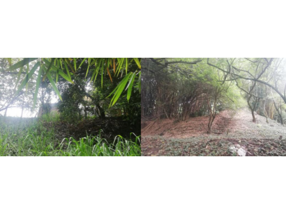 Lote - Terreno en el sector de Aguacatal, Cali — foto 2