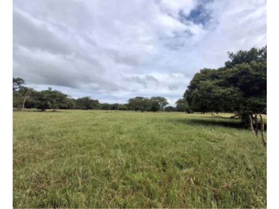 Lote Veda Jaguito Paz de Ariporo Casanare - 2