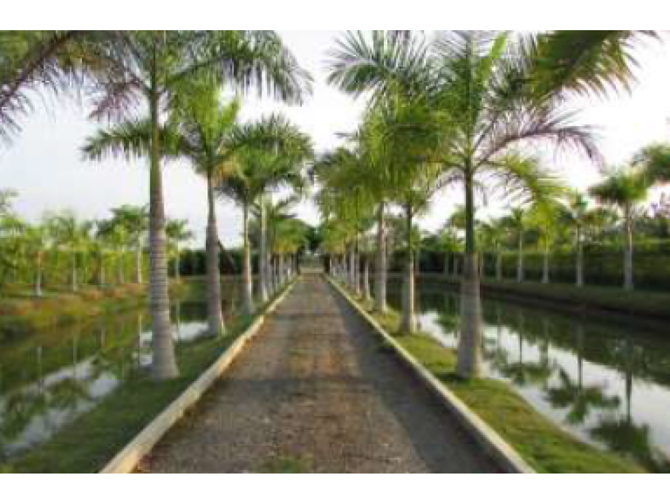 Casa campestre en Urbanización Lagos del Norte, Montería - 3