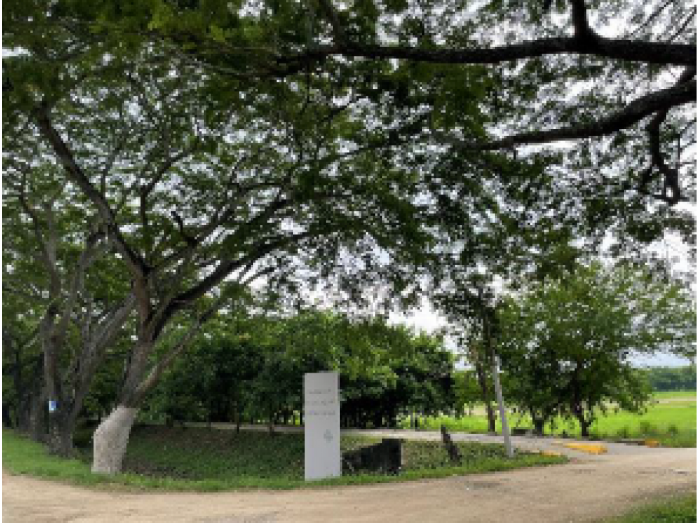 Lotes en venta en Urbanización Palma Verde, Montería - 3
