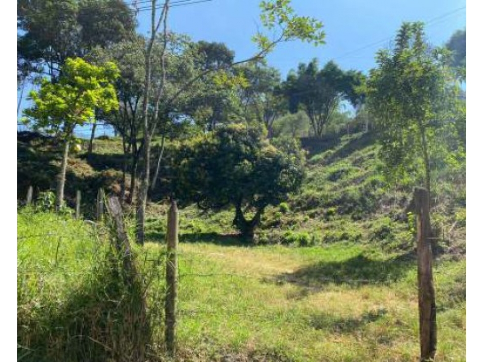 Lotes María Bonita en Vereda La Doctora, Sabaneta - Antioquia — foto 3